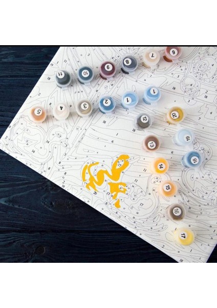 Afrikalı Güzel 12 Sayılarla Boyama Seti Kasnaklı 50 x 65 cm modelleri