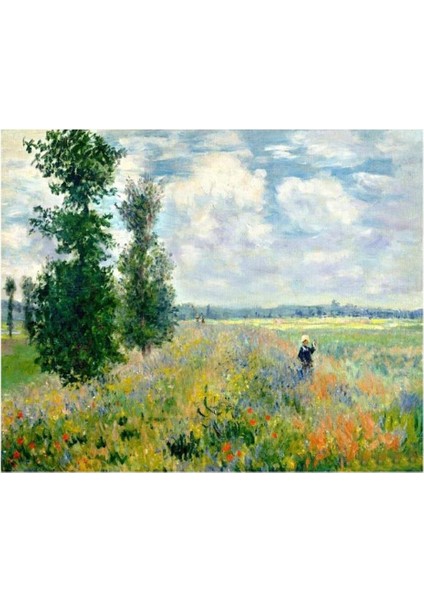 Monet Hashas Bahçesi Sayılarla Boyama Seti Kasnaklı 50 x 65 cm