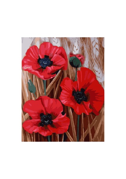 Sayılarla Boyama Seti Kasnaklı Gelinciğin Dansı 70 x 90 cm