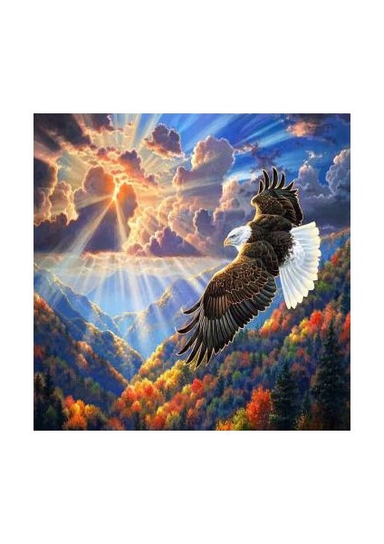 Sayılarla Boyama Seti Kasnaklı Gökyüzünün Kralı 60 x 75 cm fiyatları