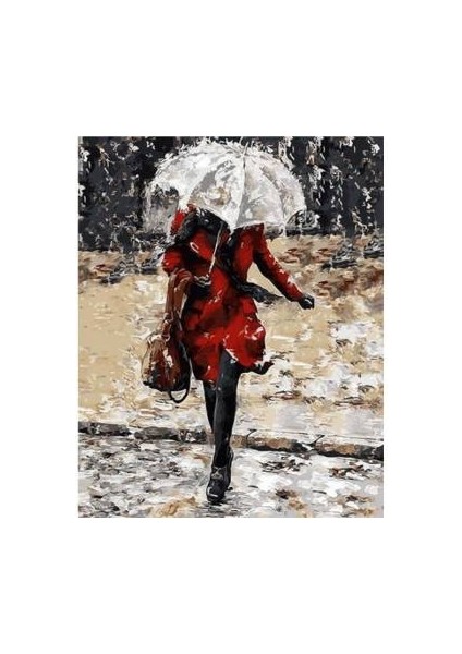 Sayılarla Boyama Seti Kasnaklı Yağmurlu Gün 60 x 75 cm