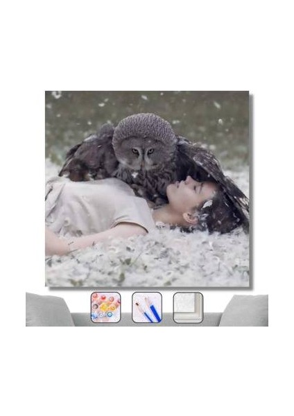 Sayılarla Boyama Seti Kasnaklı Baykuşun Kanatları 40 x 50 cm