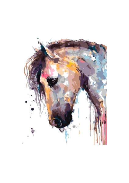 Sayılarla Boyama Seti Kasnaklı Soyut At 1 60 x 75 cm