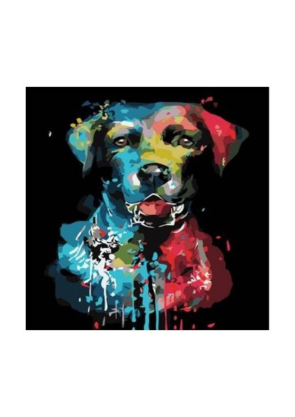 Sayılarla Boyama Seti Kasnaklı Renkli Dost 2 60 x 75 cm