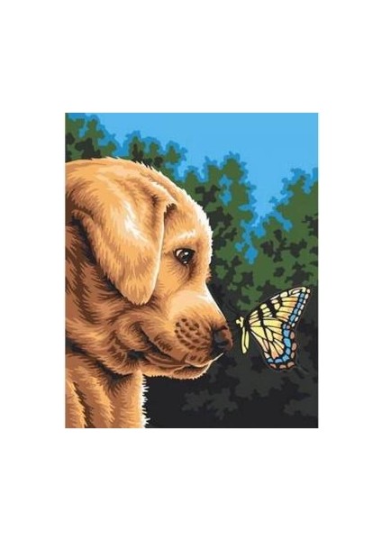 Sayılarla Boyama Seti Kasnaklı Kelebek ile Dost 60 x 75 cm