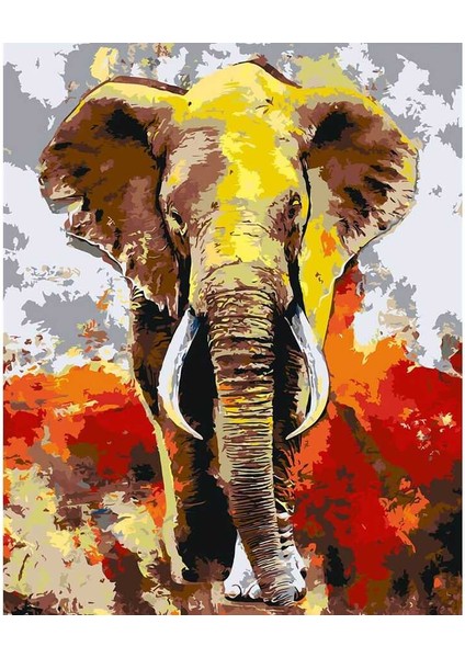 Derviş Fil Sayılarla Tablo 60 x 75 cm Kanvasa Gerili