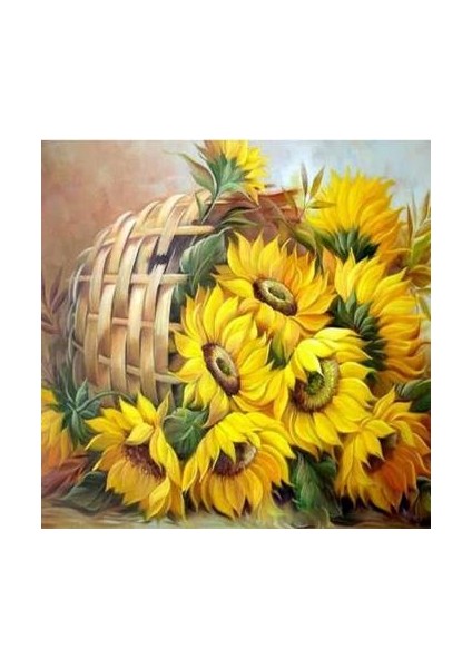 Sayılarla Boyama Seti Kasnaklı Günebakan Sepeti 50 x 65 cm