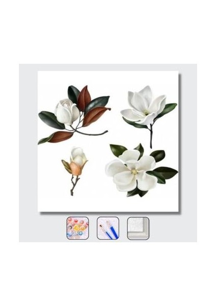 Sayılarla Boyama Seti Kasnaklı Sade Çiçekler 70 x 90 cm