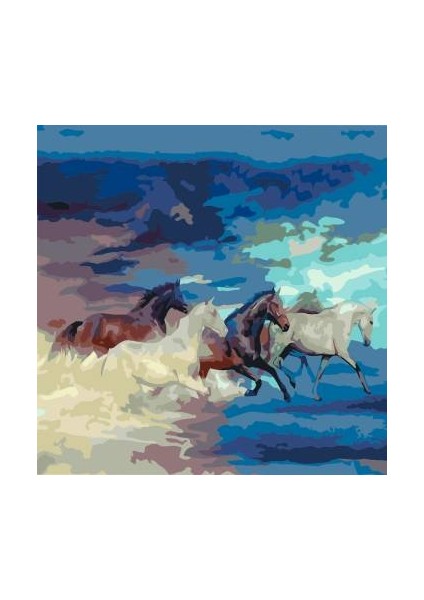 Sayılarla Boyama Seti Kasnaklı Atların Hedefi 50 x 65 cm