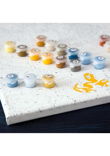 Van Gogh Ayçiçek Sayılarla Boyama Seti Kasnaklı 60 x 75 modelleri