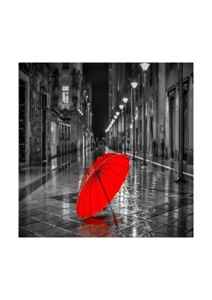 Sayılarla Boyama Seti Kasnaklı Gri Sokaklar ve Kırmızı 40 x 50 cm