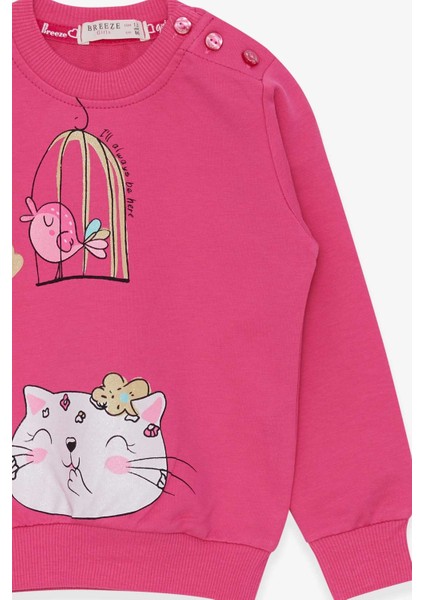 Kız Çocuk Sweatshirt Simli Kedicik Baskılı 1.5-5 Yaş, Pembe modelleri