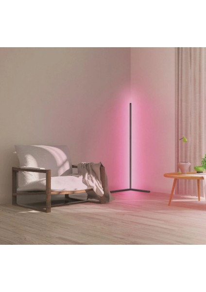 Smart Wifi Floor Corner 10W Rgb+Tw Siyah 140CM Lambader