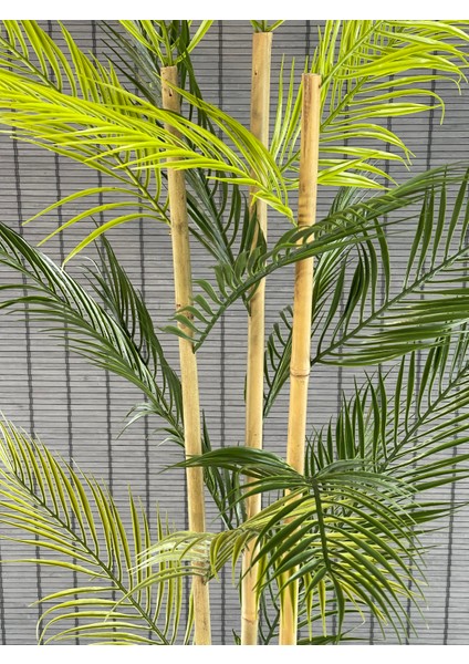Yapay Çiçek Areka Ağacı Palmiye Ağacı Bambu Gövdeli Saksılı 18 Yaprak 125 cm modelleri