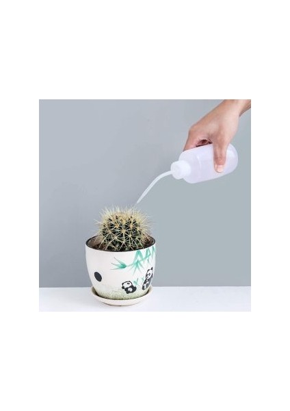 Sukkulent Kaktüs Bonsai Sulama Şişesi 715726 fiyatları