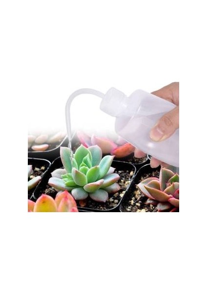 Sukkulent Kaktüs Bonsai Sulama Şişesi 715726 modelleri