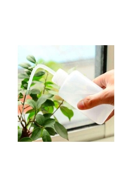 Sukkulent Kaktüs Bonsai Sulama Şişesi 715726 indirimleri