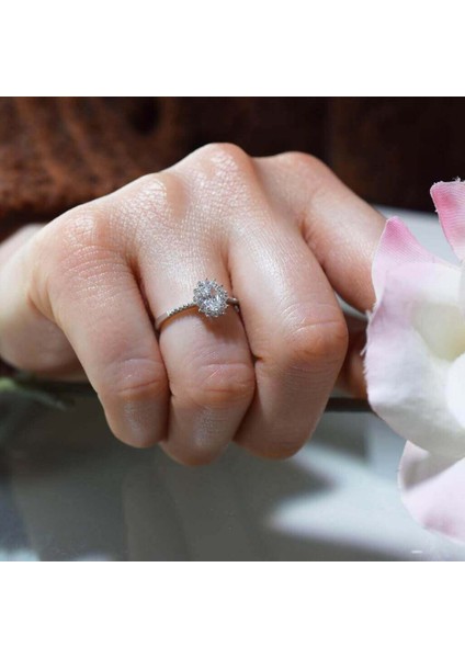 Liquid Ring fiyatları