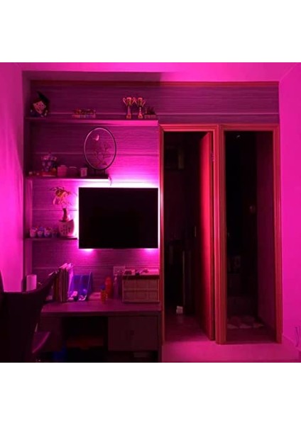 Neon Hortum Işık Led Şerit Aydınlatma 220 Volt Fiş Dahil fiyatları