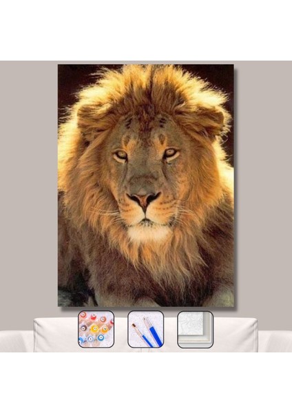 Sayılarla Boyama Seti Kasnaklı Orman Kralı 60 x 75 cm