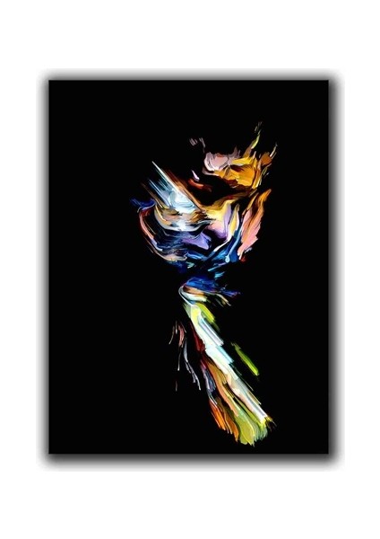 Renklı Soyut Portre Kanvas Tablo