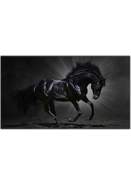 Koşan Siyah Asil At Kanvas Tablo