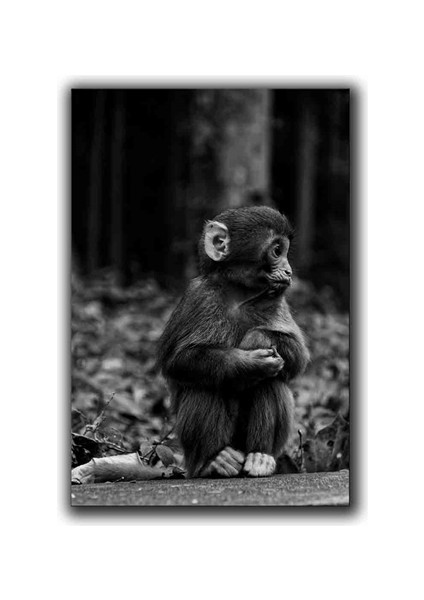 Bebek Maymun Kanvas Tablo