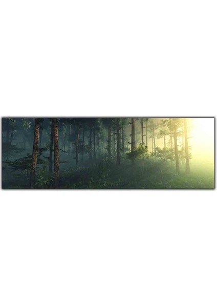 Sisli Orman Kanvas Tablo