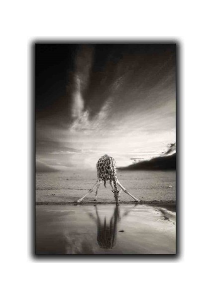 Su Icen Zurafa Kanvas Tablo