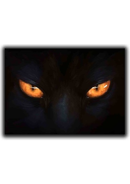 Turuncu Kedı Gozu Kanvas Tablo