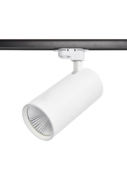 Silindir Philips Ledli 30W Monofaze Beyaz Ray Spot