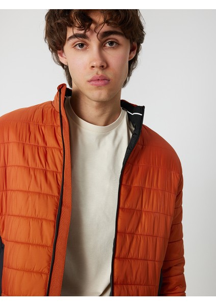 Regular Fit Erkek Mont