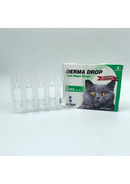 Dr. Sed Kedi Deri Bakım Damlası 5*1gr