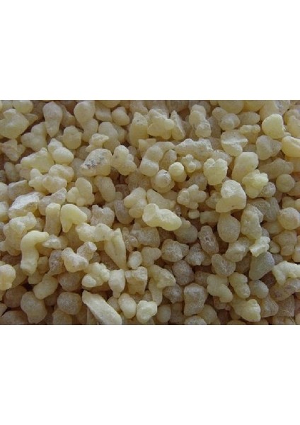 Dökme Baharat Akgünlük 100 gr
