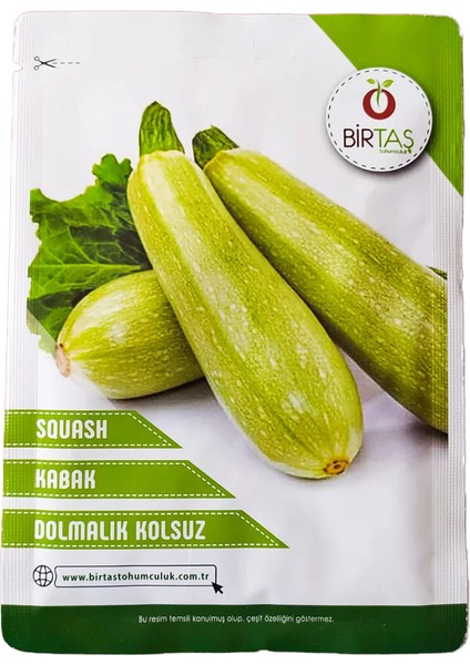 Birinci Kalite Dolmalık Kabak (Kolsuz) Tohumu