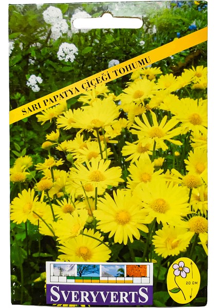 Birinci Kalite Sarı Papatya Tohumu