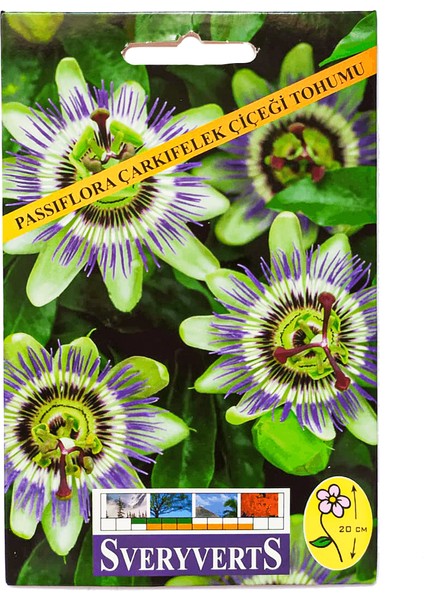 Birinci Kalite Passiflora Çarkıfelek Çiçeği Tohumu