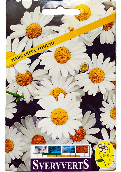 Birinci Kalite Margarita Papatya Çiçeği Tohumu