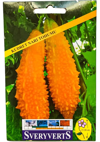 Birinci Kalite Kudret Narı Çiçeği Tohumu