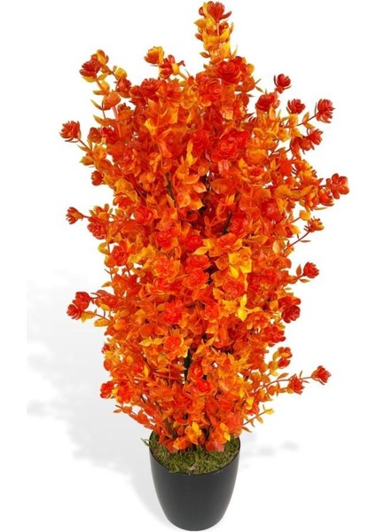 Yapay Çiçek Siyah Saksıda Turuncu Şimşir Ağacı 55CM indirimleri