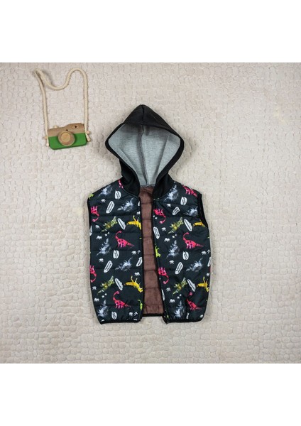 Erkek Çocuk Dinazor Baskılı Kapüşonlu Şişme Yelek modelleri