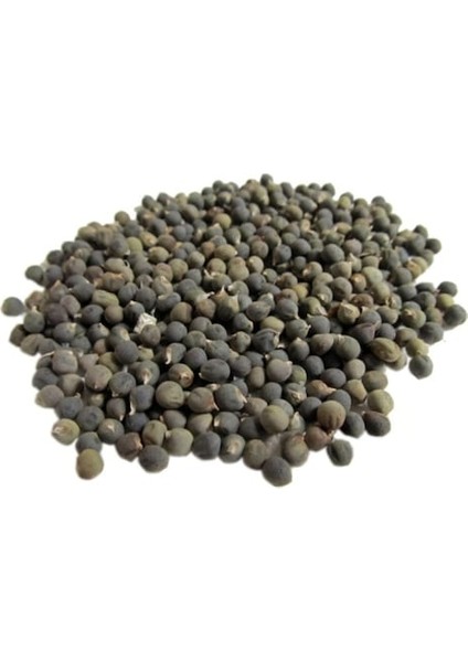 Dökme Baharat Bamya Tohumu 100 gr