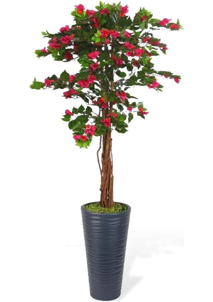 Yapay Ağaç Antrasit 57CM Kumsal Vazoda Begonvil Ağacı Fuşya Bodrum Çiçeği 180CM