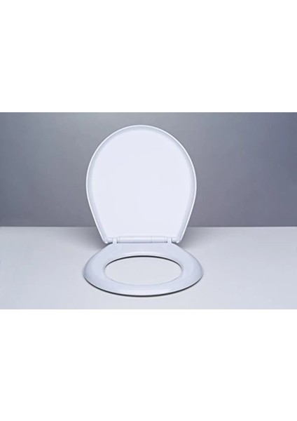 Dy Nkp Thermoplast Smart Yavaş Kapanan Klozet Kapağı 0303