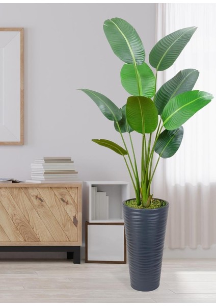 Yapay Ağacı Antrasit 57CM Uzun Kumsal Vazoda Muz Ağacı Yapay Starliçe 195CM 10 Yaprak fiyatları