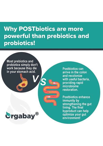 Digestive Enzymes Postbiotics With Tributyrin And 20 Digestive Enzymes Gut Colon 60 Kapsul