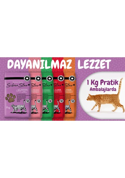 4 Farklı Lezzet Yetişkin Kedi Maması 1 kg * 4 Adet