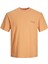 Jorpaısley Back Tee Ss Crew Neck Mc Turuncu Erkek T-Shirt 12235481-Pumpk 2