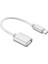 Örgülü Tip-C Erkek USB Kadın Adaptörü Otg Veri Sync Kablo Kordon Gümüş (Yurt Dışından) 1