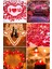 Kuru Gül Yaprağı,banner,20 Kalp Balon,50 Beyaz Mum Romantik Hediye 14 Şubat Sevgililer Günü 1